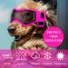 Dog Goggles for Small Breeds Windproof Anti-Fog Dog Sunglasses Adjustable Puppy Sunglasses for Small Medium Dogs Outdoor Riding Driving Protective Eyewear (Pink) - Buy Online on GoSupps.com