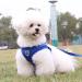 Buy LOOK ANDES Small Dog Harness & Leash Reflective Soft Padded Air-Mesh for XS Puppies & Cats (24-27cm Chest) Blue - Buy Online on GoSupps.com