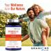 Max Strength D3 K2 Vitamin 10 000IU MK7 Complex - 250mcg MK-7 Vitamin K2 D3 Supplement - Coloring Preservative Free Immune Support Bone Health Supplements VIT D K - 2 Month 60 One-a-Day Tablets - Buy Online on GoSupps.com
