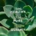 Nature's Sunshine Sinus Support EF - 100 Capsules | Natural Relief for Sinus Congestion - Buy Online on GoSupps.com
