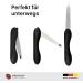SONNENSCHEIN by Hans Kniebes Set of 5 Sapphire Nail Files Coarse/Fine for Manicure and Pedicure Black - Buy Online on GoSupps.com