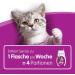 Whiskas Cat Milk for Cats from 6 weeks - Delicious Snack for a Happy Cat - Lactose-free and Easily Digestible - Different Sizes Milk 3 l (Pack of 1) - Buy Online on GoSupps.com