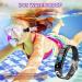 DWFIT Children's Fitness Tracker - IP68 Waterproof Activity Tracker for Boys & Girls Heart Rate Monitor Sleep Tracker 11 Sports Modes - Buy Online on GoSupps.com