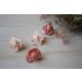 Filibabba Silicone Baby Pacifier Set | 2 Pack Temporary Pacifiers in Coral | Danish Design | 0-6 Months | Includes Pacifier Box - Buy Online on GoSupps.com