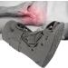 Pneumatic Walking Boots for Foot & Ankle Injuries - Full Shell Design for Swelling & Fractures (L) - Shop Internationally - Buy Online on GoSupps.com