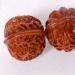 Unbit Ballstretch Magnetic Stress Ball - Handcrafted Walnut Wood Palm Massager for Stress Relief & Hand Training (50mm) - Buy Online on GoSupps.com