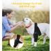 Dog Pet Knee Brace for Support with Cruciate Ligament Injury Joint Pain and Muscle Sore Better Recovery with Dog ACL Knee Brace Adjustable Rear Leg Braces for Dogs Knee Brace (Large) - Buy Online on GoSupps.com
