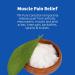 De La Cruz Maximum Strength Muscle & Joint Camphor Ointment 11% - Pain Relief Cream (2.5 oz 6 Pack) - Buy Internationally - Buy Online on GoSupps.com