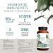 NaturTreu High-Dose Calcium Capsules - 120 Vegan Tablets with Vitamin C | Additive-Free 800mg Daily Dose - Buy Online on GoSupps.com