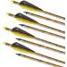 S F Crossbow Bolts Carbon Crossbow Arrows for Hunting and Target Practice (Pack of 12) - Buy Online on GoSupps.com