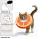 Cat Recovery Collar - Cute Sun Flower Neck Cat Cones After Surgery AdjuCats and Kitten Surgery Recovery Elizabethan Collars for Kitten and Puppies Stable Cat E Collar (Orange s) - Buy Online on GoSupps.com