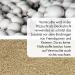 Vermiculite 0-3 mm - 50 Liters | Premium Breeding Substrate for Plants & Gardening International Shipping - Buy Online on GoSupps.com