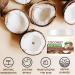 Coconut Body Butter - Body Butter for Moisturizing & Repairing - Body Butter for Women - Body Lotion for Dry Skin - Coconut Body Oil for Soften & Smooth Skin - Coconut Moisturiser - Buy Online on GoSupps.com