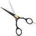 Awans Hairdressing Barber Salon Scissors 6" - Buy Online on GoSupps.com