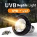 Qeeheng Turtle Heat Lamp - UVA & UVB Basking Light for Turtles Reptiles & Amphibians | Pet Heater Lamp 5.0 - Buy Online on GoSupps.com