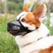 Breathable Dog Muzzle | Adjustable Mesh Muzzle for Dogs | Comfortable & Durable Maulkorb in Gray - Buy Online on GoSupps.com