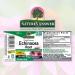 Nature's Answer Echinacea Alcohol-Free Extract - 1 Fl Oz | Natural Immune Booster & Wellness Support - Buy Online on GoSupps.com
