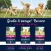 Eukanuba Puppy Food with Lamb & Rice for Large Breeds - 12 kg Dry Food for Junior Dogs | Best for Healthy Growth - Buy Online on GoSupps.com