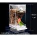 Automatic Bird Feeder No Mess Bird Feeder Bird Cage Feeder Bird Cage Accessories for Parakeet Canary Cockatiel Finch - Buy Online on GoSupps.com