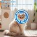 Buy Ohcozzy Adjustable Sore Crane Cat Collar - Transparent & Breathable Protective Collar (S Gray) | Pet Recovery Solution - Buy Online on GoSupps.com