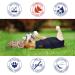 MPS Medical Pet Shirt for Extra Large Dogs - Blue XL | Comfort & Care for Your Pet - Buy Online on GoSupps.com