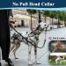 Durable Dog Head Necklace Halter - No Pulling Soft Headhaft & Safety Clip for Medium to XL Dogs - Perfect for Training & Walks - Buy Online on GoSupps.com