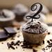 Monogram Letter Z Cupcake Toppers Initial Single Letter Name Glitter Black For Wedding Engagement Party Decorations Beach Reusable Branches Leaf Personalized Any 26Letters Engagement Gifts 6PCS Style-7 - Buy Online on GoSupps.com