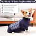 HEYWEAN Dog Recovery Suit Long Sleeve Bodysuit Blue Plaid | Post Surgery Wound Protector & Cone Alternative | M - Buy Online on GoSupps.com