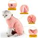 Heywean Long-Sleeved Striped Cat Body - Post-Operation Wear for Cats | Anti-Trimming Clothing in Orange - Buy Online on GoSupps.com
