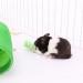 Ware Manufacturing Large Rice Pops - Healthy Small Animal Treats - Buy Online on GoSupps.com