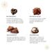 Lindt Chocolate Winter Mini Chocolates Fine Pralines in Four Different Varieties - Praline, chocolate - 3.17 Oz - Buy Online on GoSupps.com