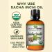 Mayan's Secret Sacha Inchi Oil - USDA Certified Organic Omega-3-6-9 - Buy Online on GoSupps.com