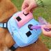 Buy Zonewd Waterproof Dog Backpack | Ideal for Hiking & School | Fits Samoyede Shiba Inu Golden Retriever - M Size - Buy Online on GoSupps.com