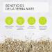 Yerba Mate Canarias 1kg - Premium Quality South American Herbal Tea - Buy Online on GoSupps.com