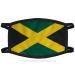 YNR Face Mask Washable Breathable Reusable Adult Mouth Protection Cover Shield Design Country Jamaica