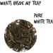 CHAIZONED White Peony White Tea | High Antioxidant Loose Leaf Tea | Overall Wellness & Soothing Properties | Handpicked from Indian Mountain | Hot Iced and Cold Brew | Brews up to 30 cups | 50g (1.7oz) White Peony Tea - Buy Online on GoSupps.com