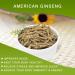 DABC OAK LAND American Ginseng from Wisconsin DOL American Wisconsin Ginseng Slices Root / (4 Ounce (Bag of 1) Small Root) - Buy Online on GoSupps.com
