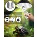 Tobebright UVB Birne E27 26W - Best UVB Reptile Terrarium Lamp for Turtles Snakes & Aquariums - AC220-240V UVB 5.0 - Buy Online on GoSupps.com