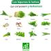 A.VOGEL Herbamare Original Mix of Sea Salt Fresh Vegetables and Herbs Healthy Organic & Vegan Seasoning Vegetable Active Flavor Enhancer Tasty & Made in France 250 g - Buy Online on GoSupps.com