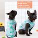 KYEESE 2 Pack Medium Dog Shirts - Breathable & Soft Tank Tops for Summer - Flamingo Pattern - 21 Chest - 2 Pack (Flamingo+Blue) - Buy Online on GoSupps.com