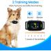 Rechargeable Anti Bark Collar for Dogs | 7 Sensitivities Vibration & Beep | Stop Barking Deterrent | 22-110lbs | Black - Buy Online on GoSupps.com