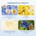 Sunscreen | 60ml Fluid Face Cream Sun Protection | Moisturizing Solution for Outdoor Activities Sweat-Resistant for Hiking Cycling Mountaineering Travel - Buy Online on GoSupps.com
