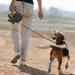 Retractable Dog Lead 8M/26ft Extendable Dog Lead Extendable with Non-Slip Handle & Adjustable Dog Lead with LED Flashlight Waste Dispenser Bags One-Hand Brake for Night Walking Running Jogging Black - Buy Online on GoSupps.com