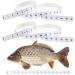 2 Rolls Fish Ruler 50 Inch Self Adhesive Measuring Tape Waterproof Fish Measuring Sticker Fishing Accessories for Boat Kayak
