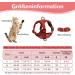 Adjustable Cat Dishes for Cats & Kittens - Red | Elevated Feeding Bowls for Dogs & Puppies | International Shipping Available - Buy Online on GoSupps.com