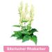 femiLoges - Herbal Menopause Support - 90 Tablets (3 Month Supply) - Natural Relief for Symptoms - Buy Online on GoSupps.com