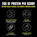 Animal 100% Whey Protein Powder - Chocolate Fudge 4 lb - Pre/Post-Workout Recovery Blend with Low Sugar - 100% Whey Protein for Anytime Boost - Buy Online on GoSupps.com