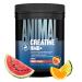 Animal Creatine HMB Powder 5g Creatine + 3g myHMB with Electrolytes for Lean Muscle Recovery & Daily Energy Power Punch Flavor 30 Servings Power Punch 12.06 Ounce (Pack of 1)