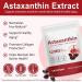 CFXYHNOX Premium Astaxanthin Supplement 12mg 120 Softgels Astaxanthin Supplements Non-GMO & Gluten Free Formula 1Pack - Buy Online on GoSupps.com