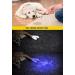 Darkbeam UV Flashlight 395nm - Portable Black Light Detector for Pet Stains & Dog Urine | Mini LED Flashlight | 1 Pack - Buy Online on GoSupps.com